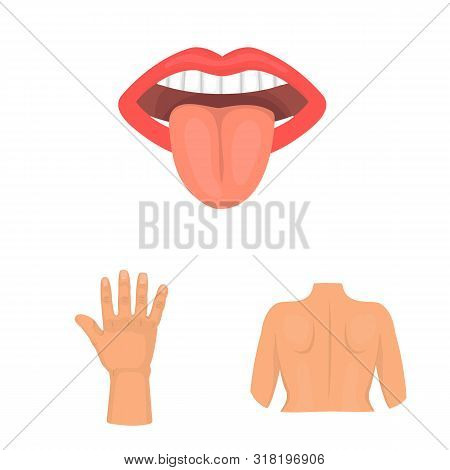 Vector Design Of Body And Part Symbol. Set Of Body And Anatomy Stock Vector Illustration.