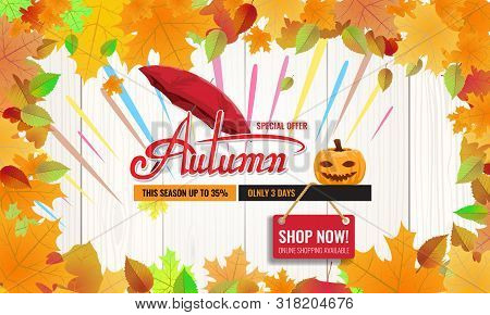 Autumn Sale Background Layout. Autun Sale Decoration With Leaves Border For Greeting Card Or Cover. 