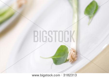 High Key Green Onion On A Plate