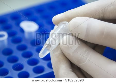 Scientist Hands In White Gloves Holding The Eppendorf Tube With Dna Samples  In Laboratory.