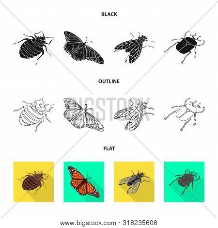 Vector Design Of Nature And Wildlife Logo. Set Of Nature And Wing Vector Icon For Stock.