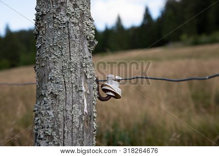 Wire On A Pasture In The Black Forest In Bernau