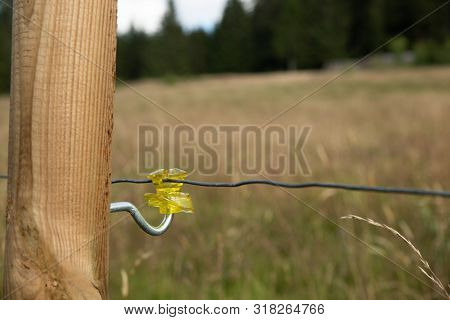 Wire On A Pasture In The Black Forest In Bernau
