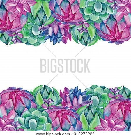 Horizontal Banners Template With Cactus And Succulent On White Background And Space For Text. Natura