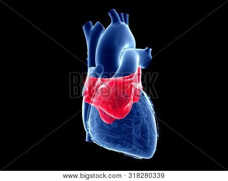 3d rendered medically accurate illustration of the left atrium