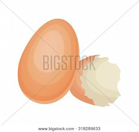 Broken Egg Shell On Isolated White Background. Vector Illustration.