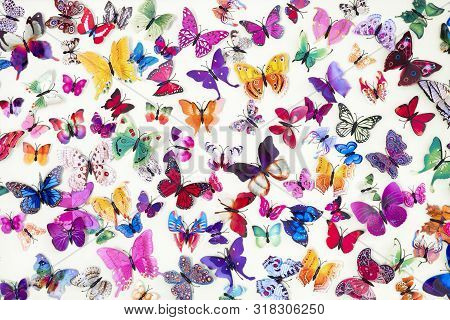 Pattern Of Colored Butterflies Isolated On White Background. Decorative Butterflies Background. Patt