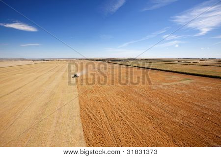 Vista aérea de una combinación de lentejas en la pradera abierta de cosecha