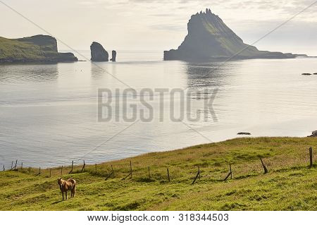 Faroe Islands Coastline Landscape Cliff Edge In Vagar. Sorvagsfjordur Fjord
