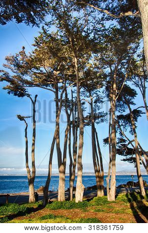 Pacific Grove