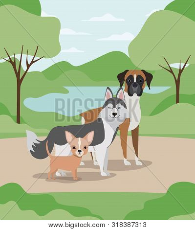 Group Of Dogs Pets In The Camp Characters Vector Illustration Design