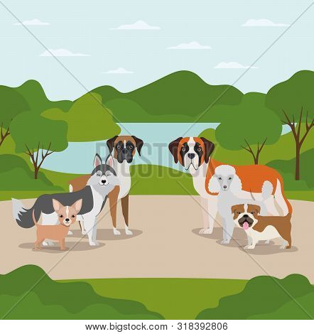 Group Of Dogs Pets In The Camp Characters Vector Illustration Design