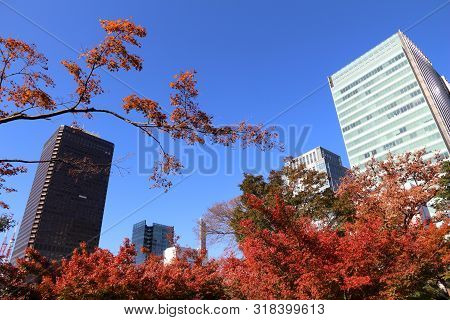 Tokyo, Japan - December 2, 2016: Autumn View Of Tokyo Modern Architecture From Kyu Shiba Rikyu Garde