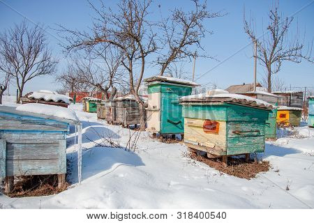 Close-up Group Of Beehives In A Winter Garden With Snow Cover On A Sunny Day.