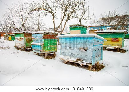 Hives Close-up In A Winter Garden With Snow Cover On A Sunny Day.