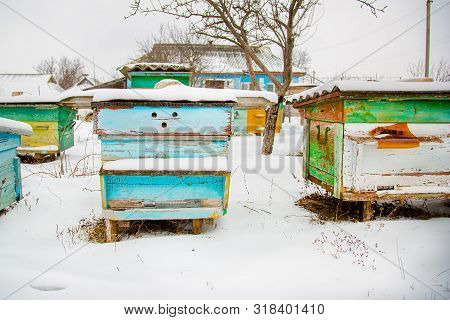 Hives Close-up In A Winter Garden With Snow Cover On A Sunny Day.