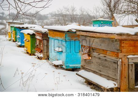 Hives Close-up In A Winter Garden With Snow Cover On A Sunny Day.