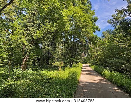 Draskovic Castle Park Or Park Oko Dvorca Blahimir Ili Perivoj Dvorca Draskovic - Bozjakovina, Croati
