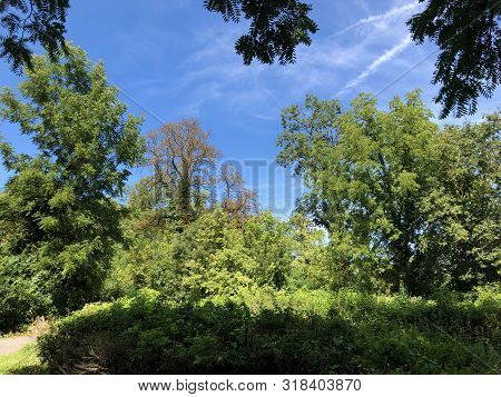 Draskovic Castle Park Or Park Oko Dvorca Blahimir Ili Perivoj Dvorca Draskovic - Bozjakovina, Croati