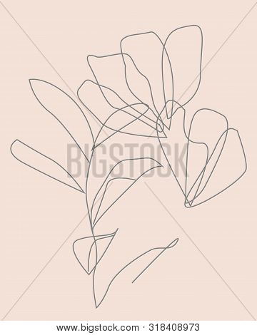 Drawing Vector Graphics With Floral Pattern For Design Floral Flower Natural Design Poster Id