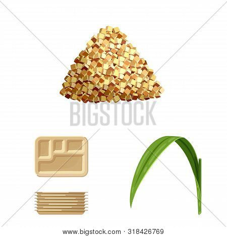 Vector Illustration Of Sugarcane And Cane Icon. Set Of Sugarcane And Field Vector Icon For Stock.