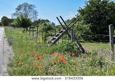 Summer Flowers By Roadside And A Wooden Stile At The Swedish Island Oland