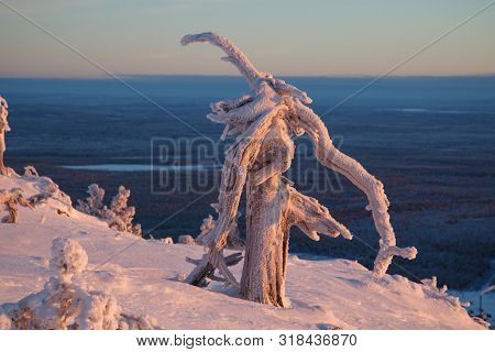Snowboarder Ride On The Top Of Snowy Hill In Ski Resort During Calm Winter Sunset. Scenery Of Athlet