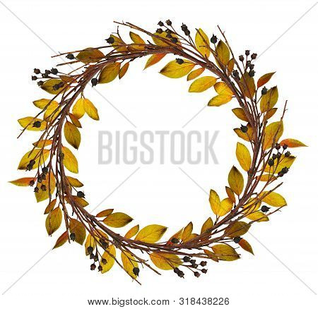 Round Wreath From Dry Twigs And Yellow Autumn With Black Berries Isolated On White Background. Flt L