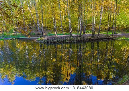 Reflection Of Coastal Trees In The Water Surface. Pond In The Landscape Reserve Teply Stan, Moscow, 