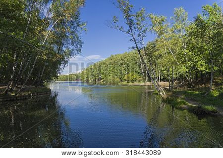 Pond In The Landscape Reserve Teply Stan, Moscow, Russia. Sunny Day In September.