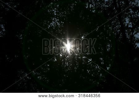 Sunshine On Wild Forest Old Road Nature Scape North Germany Fifty Megapixels Dorsten Modern Texture 