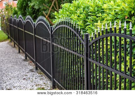 Iron Fence.  Black Metal Fence Near Trees