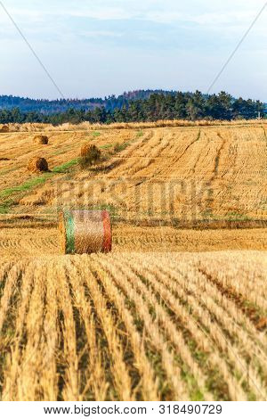 Straw Ball On Field In The Czech Republic. Harvested Field. Morning On The Far. Hay Bales After Harv
