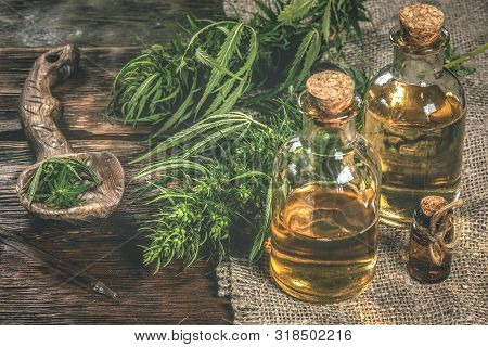 Cbd Oil Bottles And Green Plant Of Cannabis On A Wooden Background. Herbal Medicine.