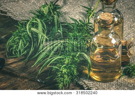 Cbd Oil Bottles And Green Plant Of Cannabis On A Wooden Background. Herbal Medicine.