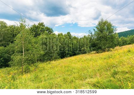 Grassy Glade In Mountain. Beautiful Nature Scenery On A Cloudy Day Among The Forest In Summer Time. 