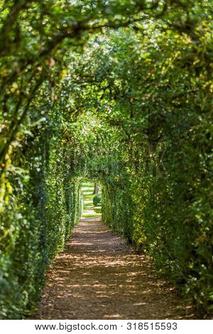 Plant Tunnel in the gardens of the Jardins de Marqueyssac in the Dordogne region of France