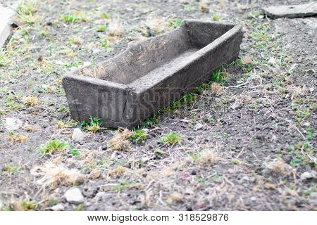 Meat Industry. Wooden Trough For Feeding Pigs On A Farm.