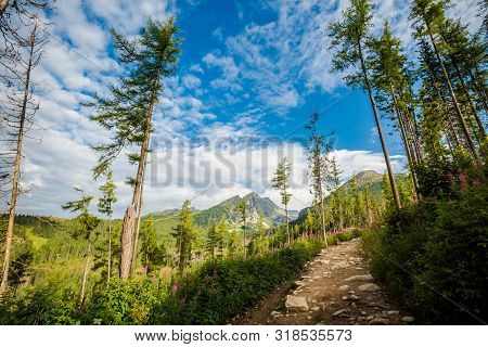 Path To Rysy Tatra Mountains