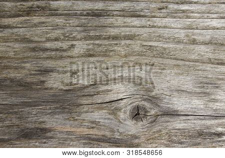 Old Grey Wood Plank Texture Background. Horizontal Uncouth Weathered Plank