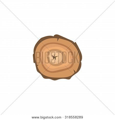 Cross Section Of A Stumb Tree With Annual Rings In Forest.