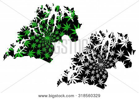 Troms (administrative Divisions Of Norway, Kingdom Of Norway) Map Is Designed Cannabis Leaf Green An