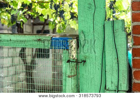 The Gate To The Patio Of A Private House Made By An Inept Master. The Axis Of The Gate Is Warped, Th