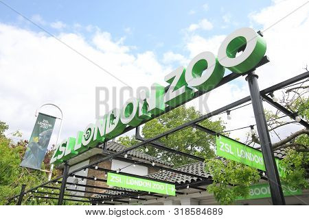 London England - June 3, 2019: Unidentified People Visit Zsl London Zoo London Uk