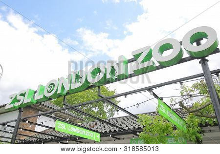 London England - June 3, 2019: Zsl London Zoo London Uk