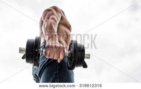 Athletic Body. Dumbbell Gym. Muscular Man Exercising In Morning With Barbell. Fitness And Sport Equi