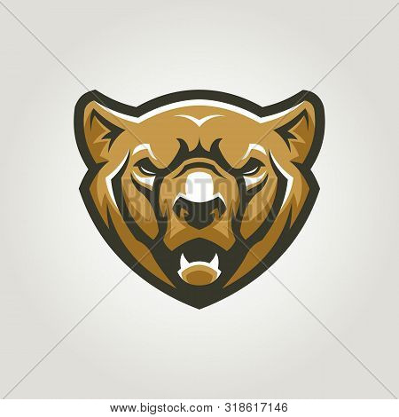 Bear Head. Angry Grizzly Bear Character Mascot.
