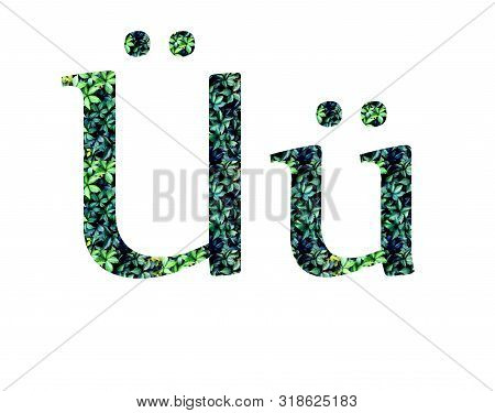 German Letter U Umlaut. Alphabet, Letters  From Green Grape Leaves.