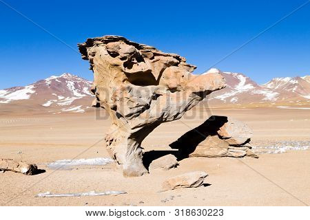 Stone Tree Rock, Bolivia. Bolivian Landmark. Arbol De Piedra
