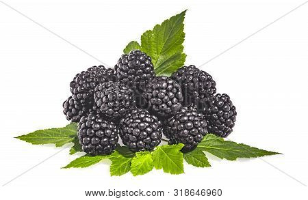 A Pile Of Ripe Blackberries Isolated On A White Background